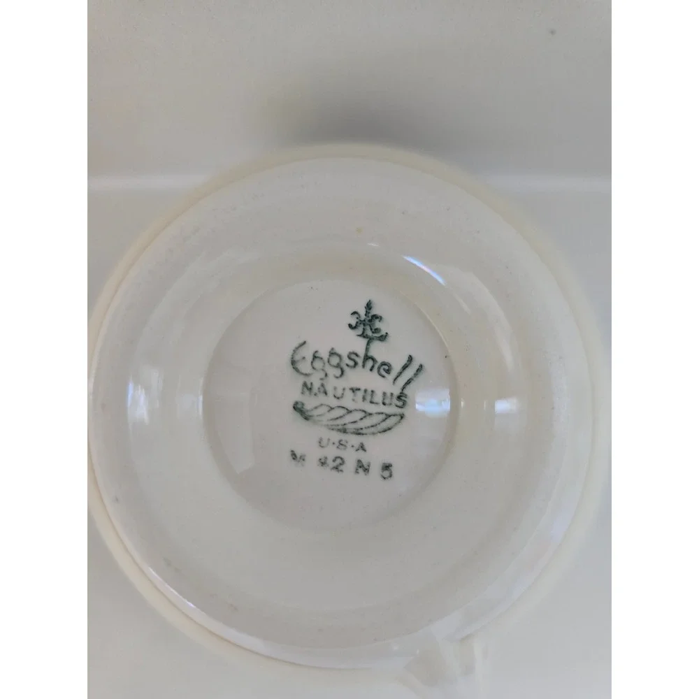 Eggshell Nautilus vintage eggshell
